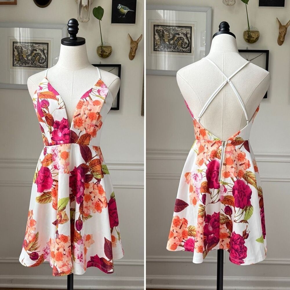 Windsor Large Print Floral Fit and Flare Mini Dress L